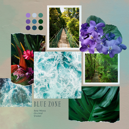 Moodboard of Blue Zone inspiration: rainforest, turquoise seafoam, rich green and purple flowers